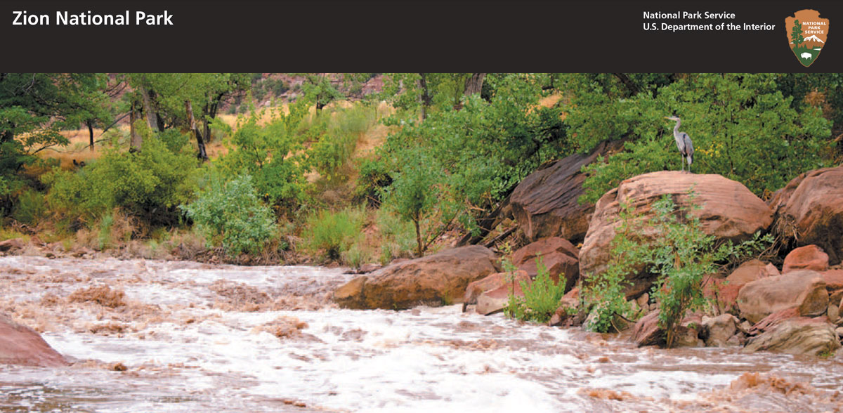 zion_national_park.jpg